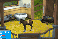 Lets Ride!: Friends Forever