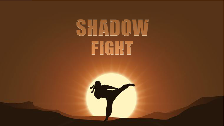 Shadow Fight