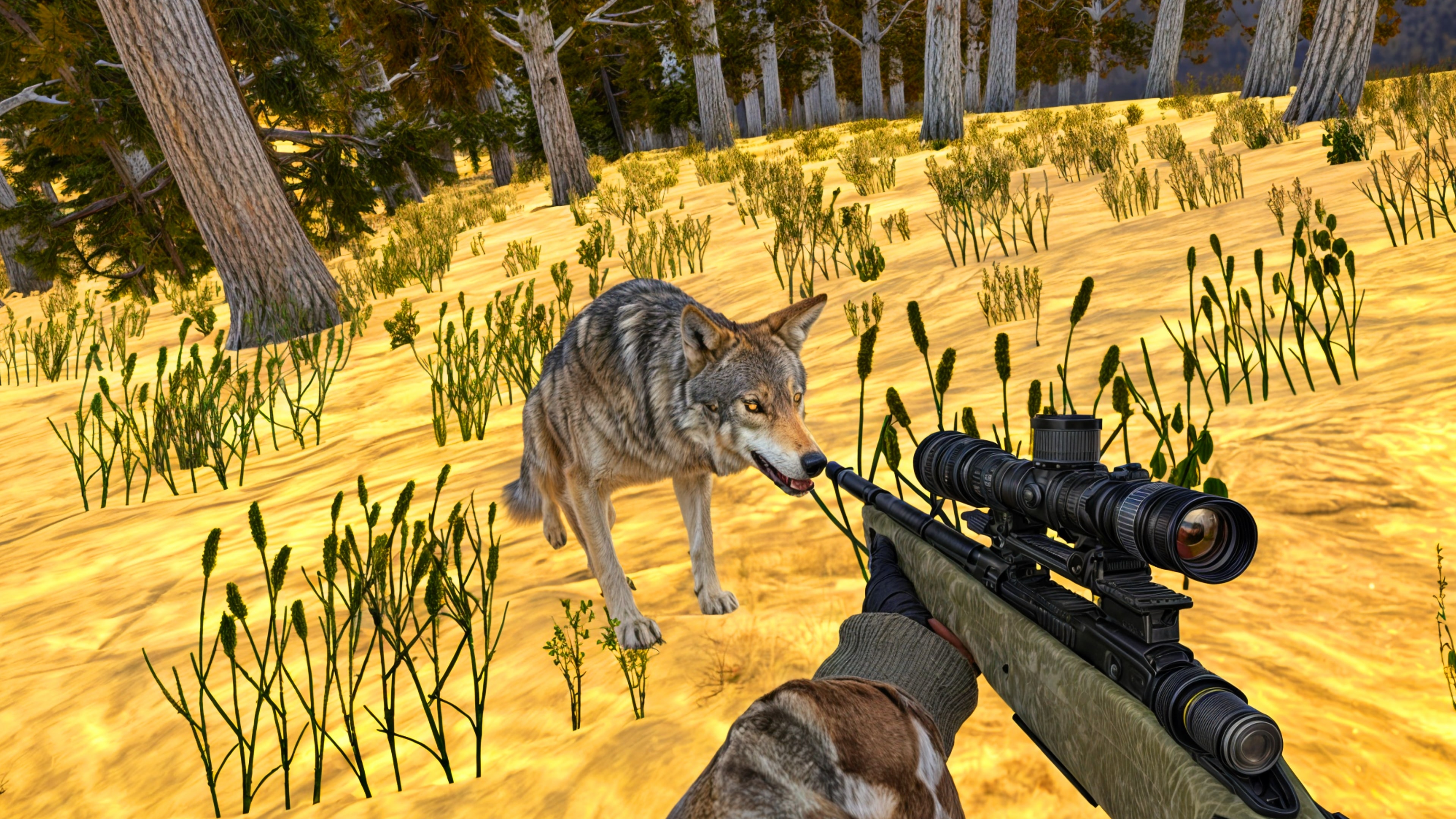Animal Hunting 3D