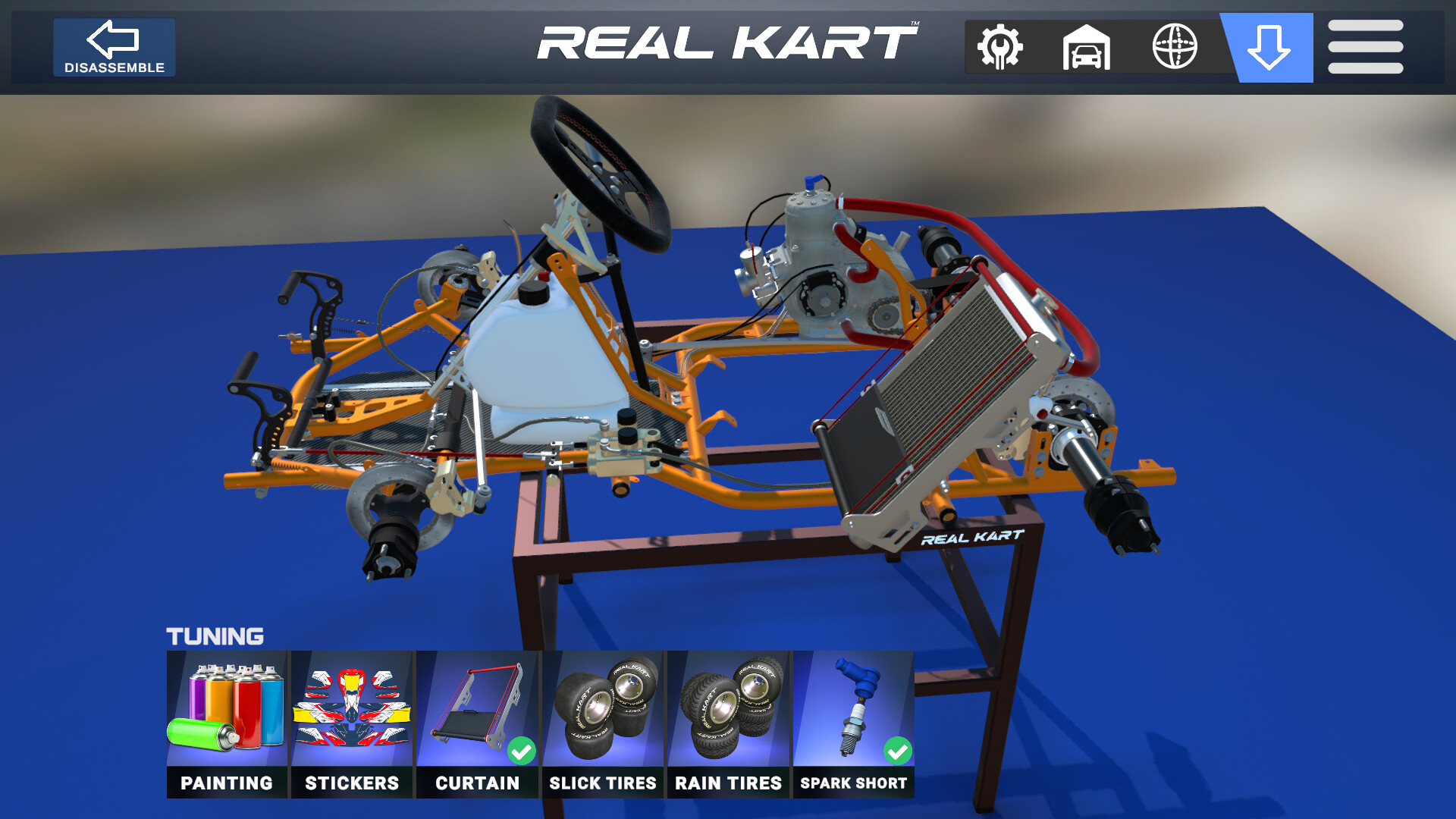 Real Kart