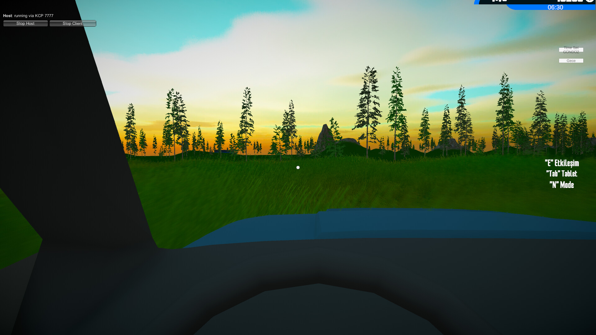 Illegal Simulator