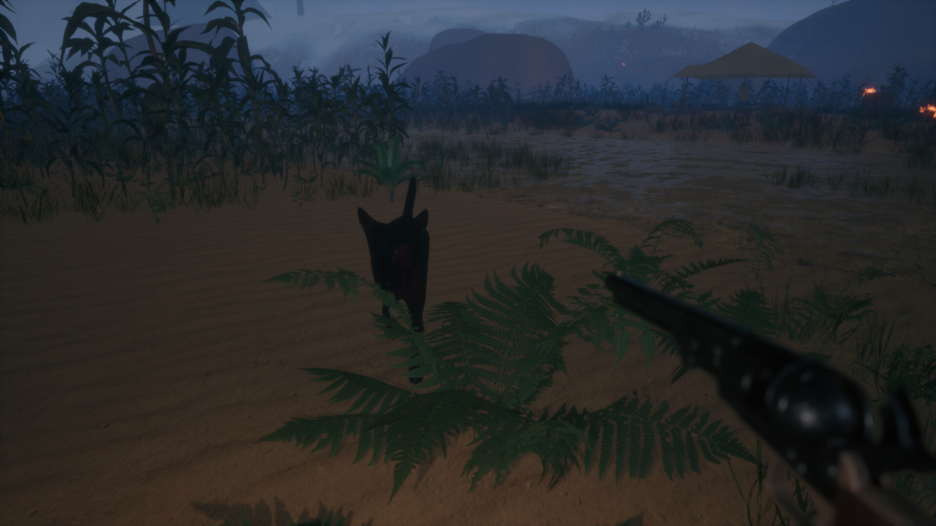 Djinn: The Forbidden Knowledge