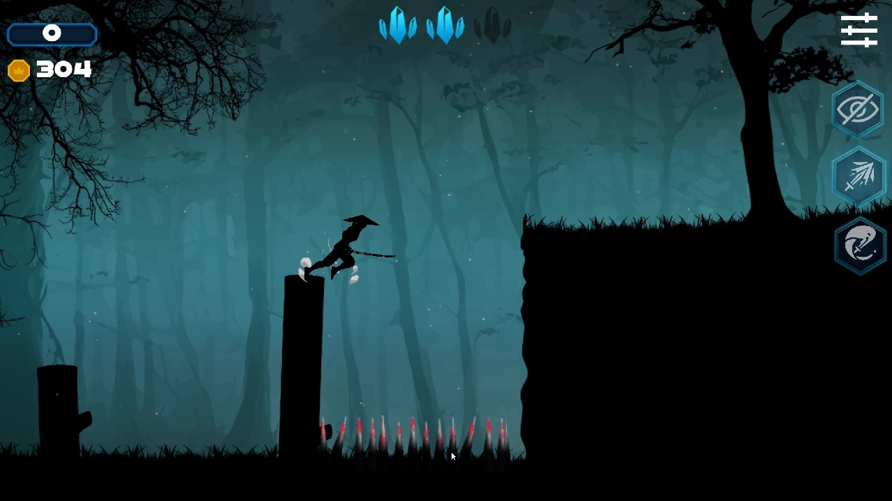 Ninja Shadow Quest