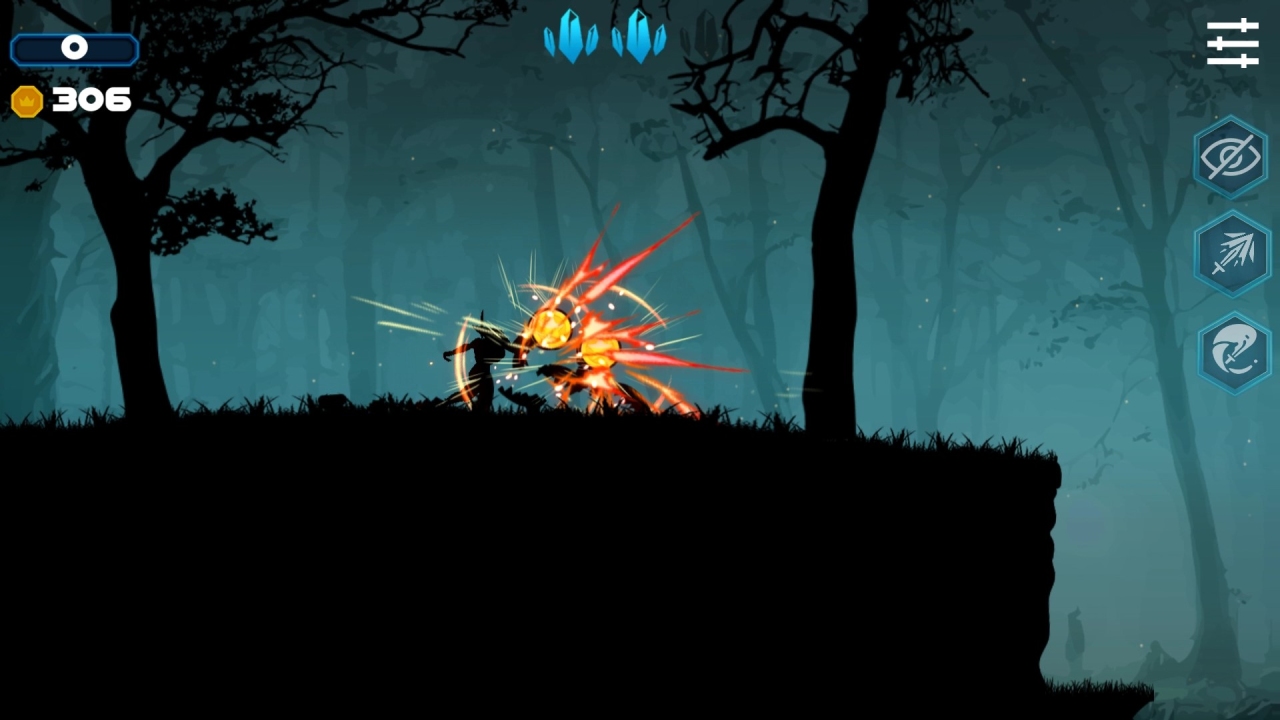 Ninja Shadow Quest