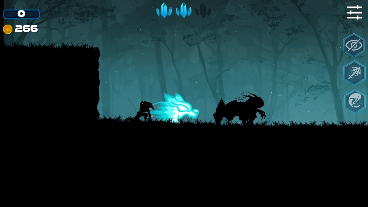 Ninja Shadow Quest