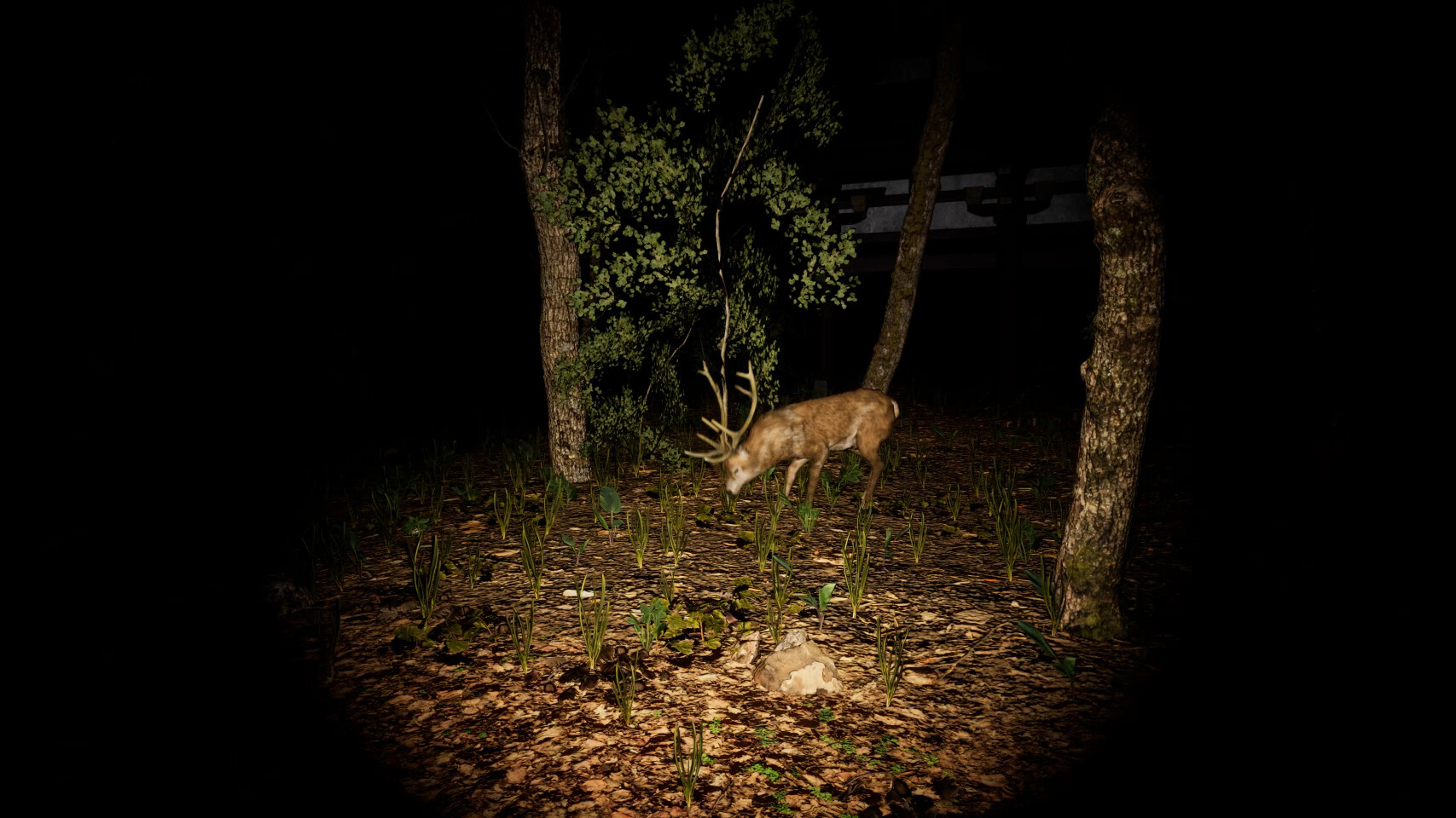 The 9th Station of M.t…