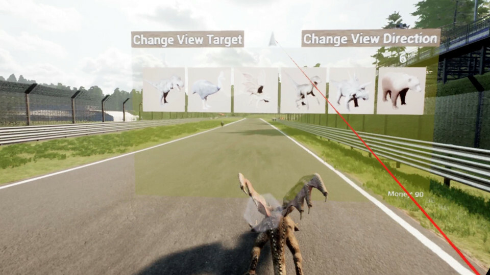 Animal Race Run VR