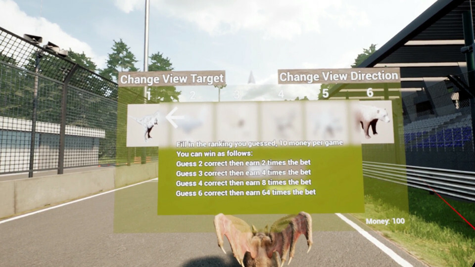 Animal Race Run VR