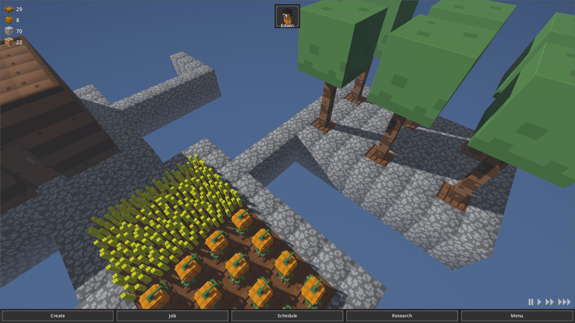 Avian Colony