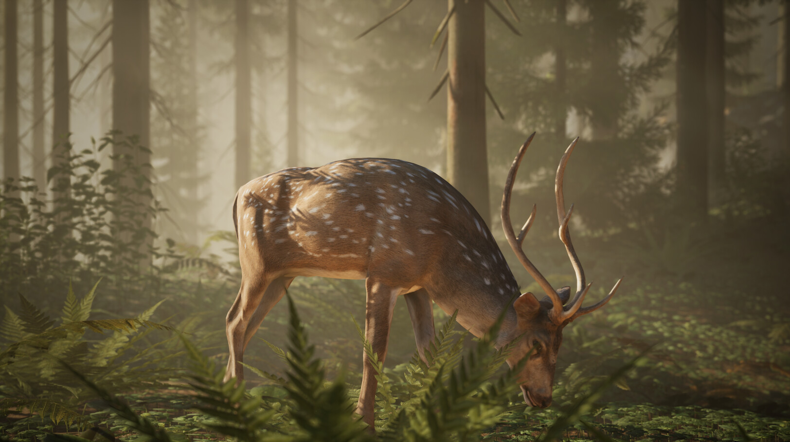 Middle Ages: Peasants &amp; Knights