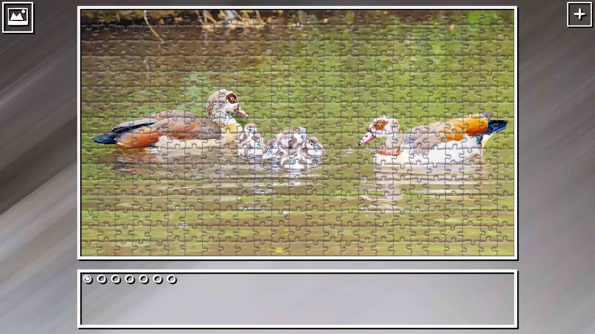 Super Jigsaw Puzzle: Generations – Random Animals 4