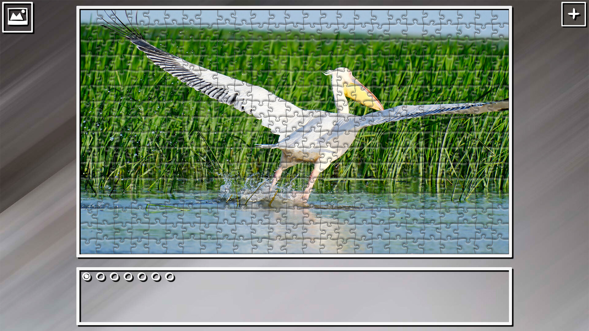 Super Jigsaw Puzzle: Generations – Random Animals 4