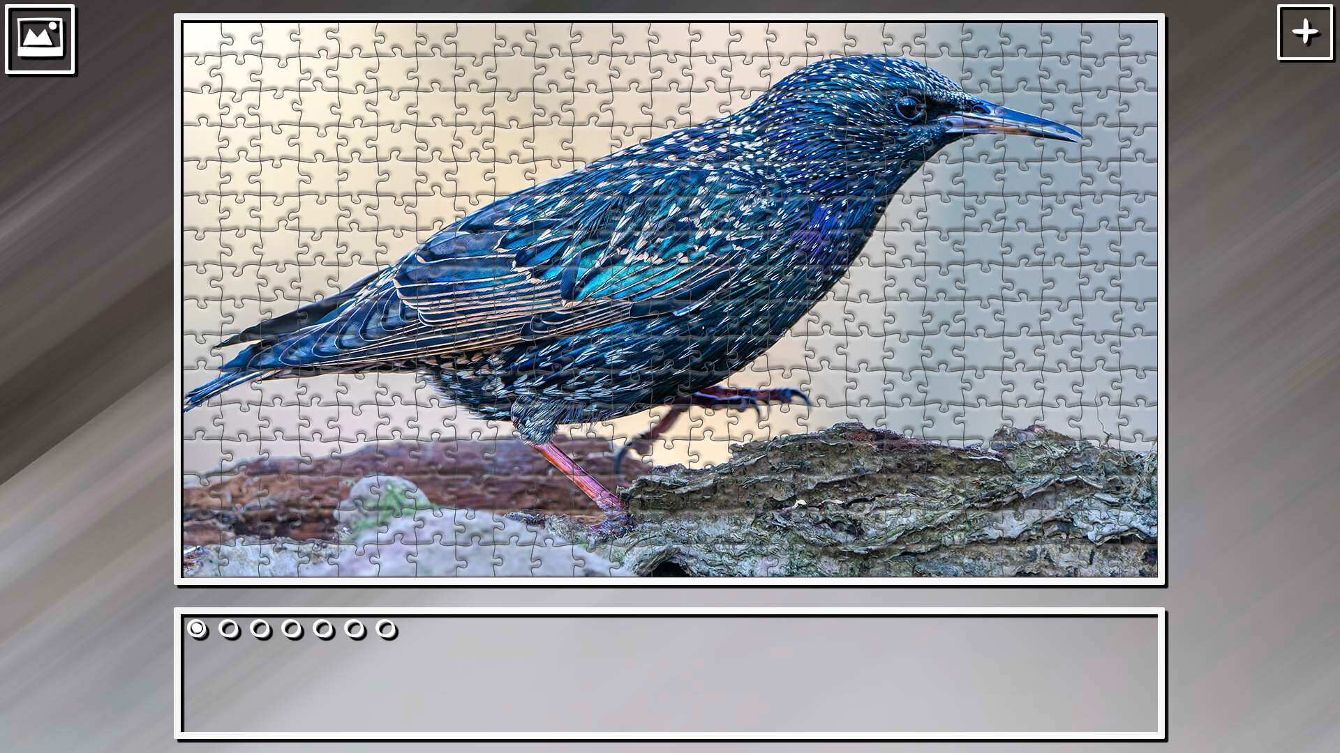 Super Jigsaw Puzzle: Generations – Random Animals 4