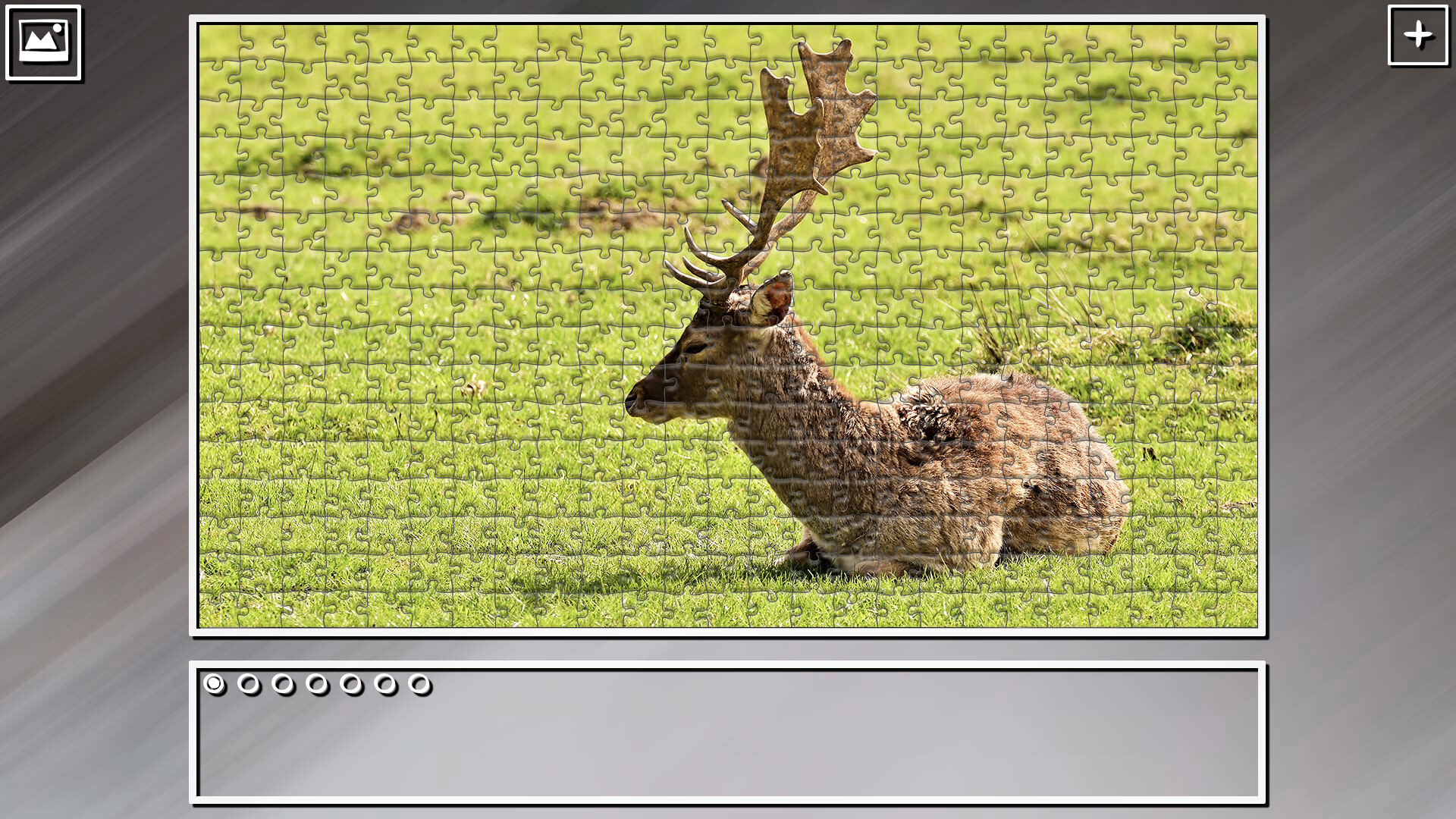 Super Jigsaw Puzzle: Generations – Random Animals 4