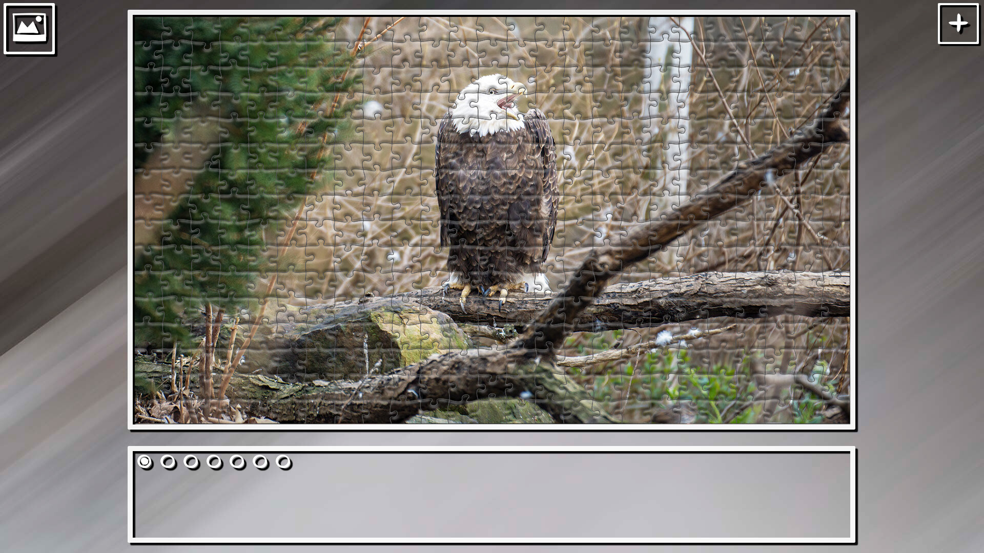 Super Jigsaw Puzzle: Generations – Random Animals 4