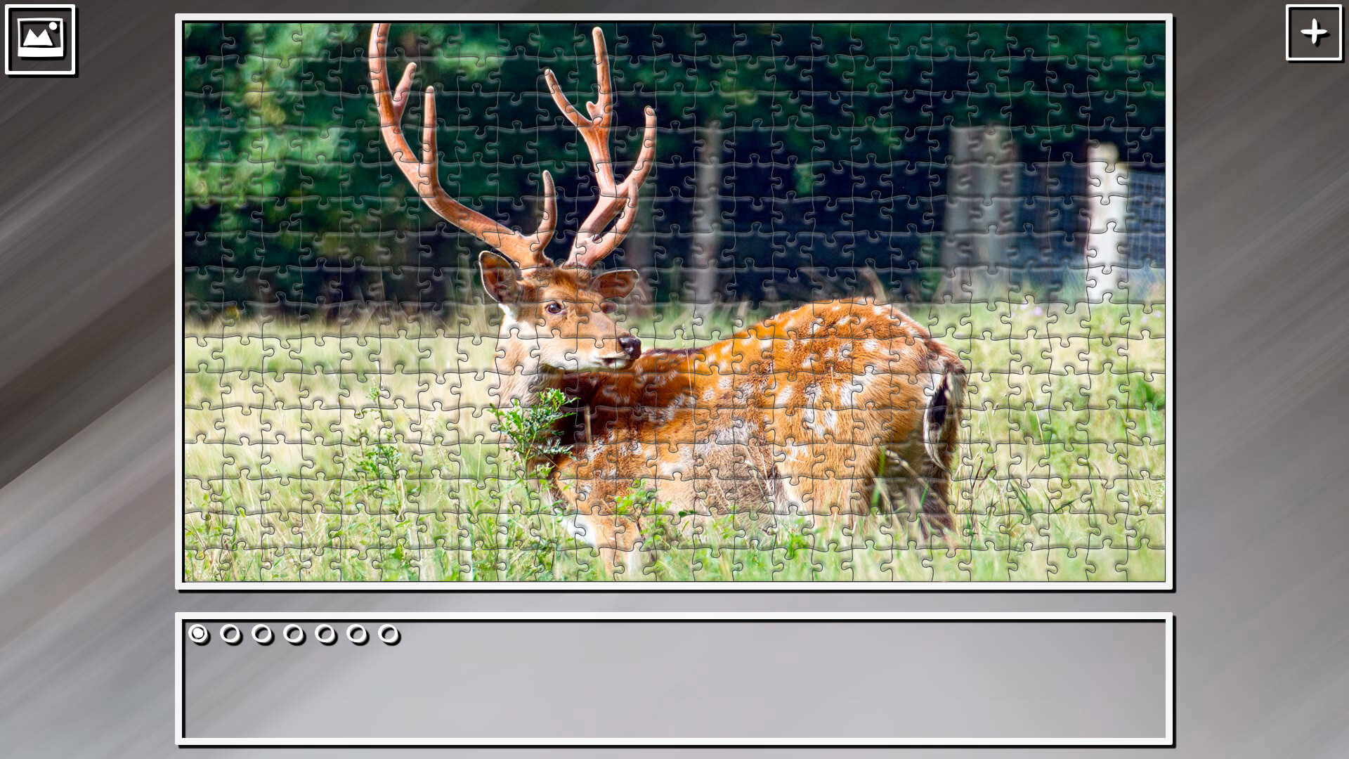 Super Jigsaw Puzzle: Generations – Random Animals 4