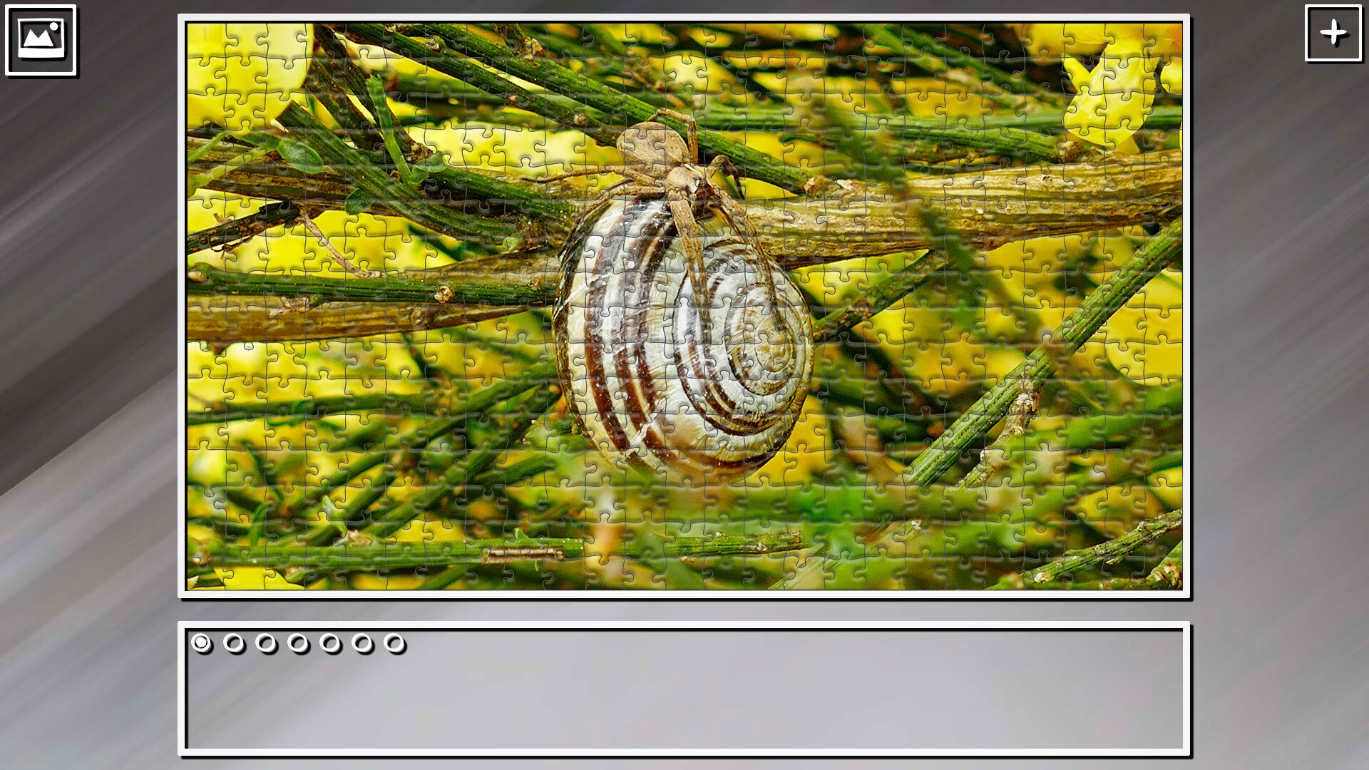 Super Jigsaw Puzzle: Generations – Random Animals 4