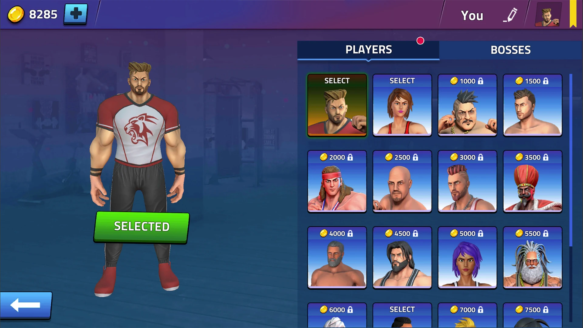 Virtual Gym Fighting