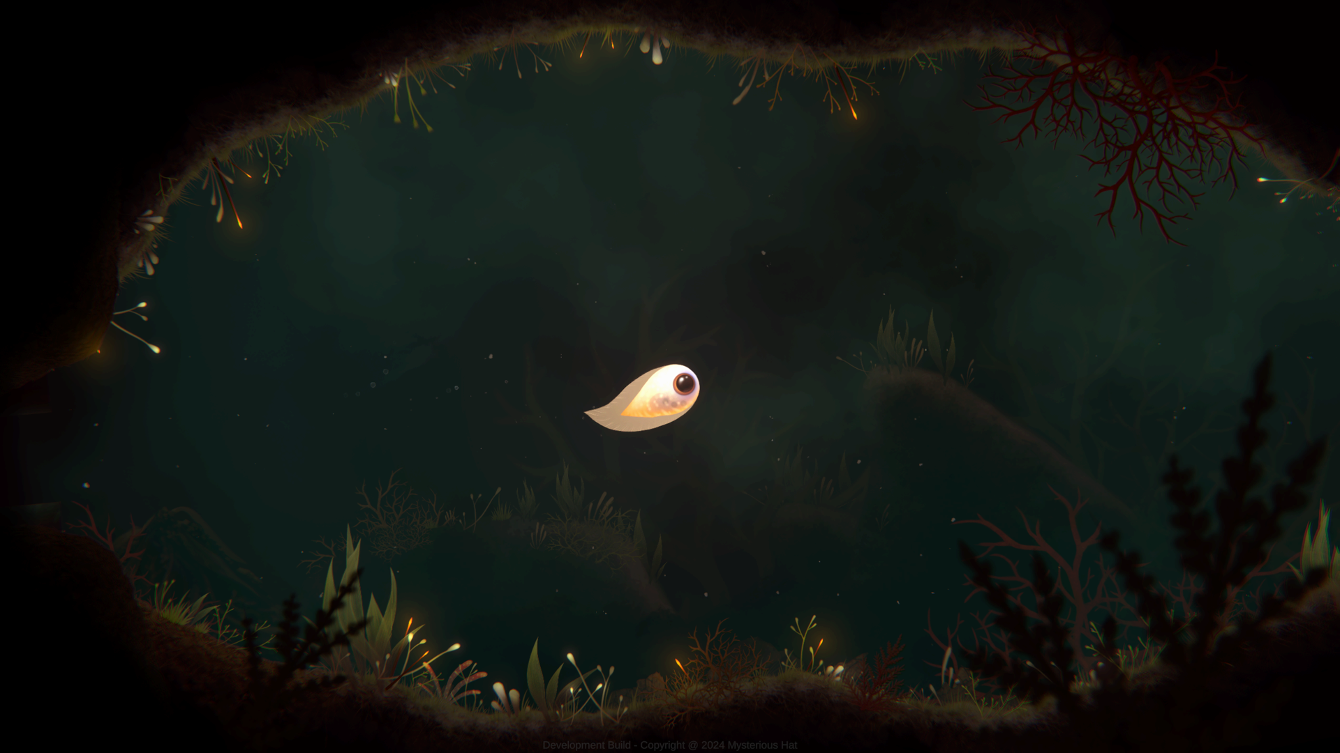 Evolution: From the Little Light