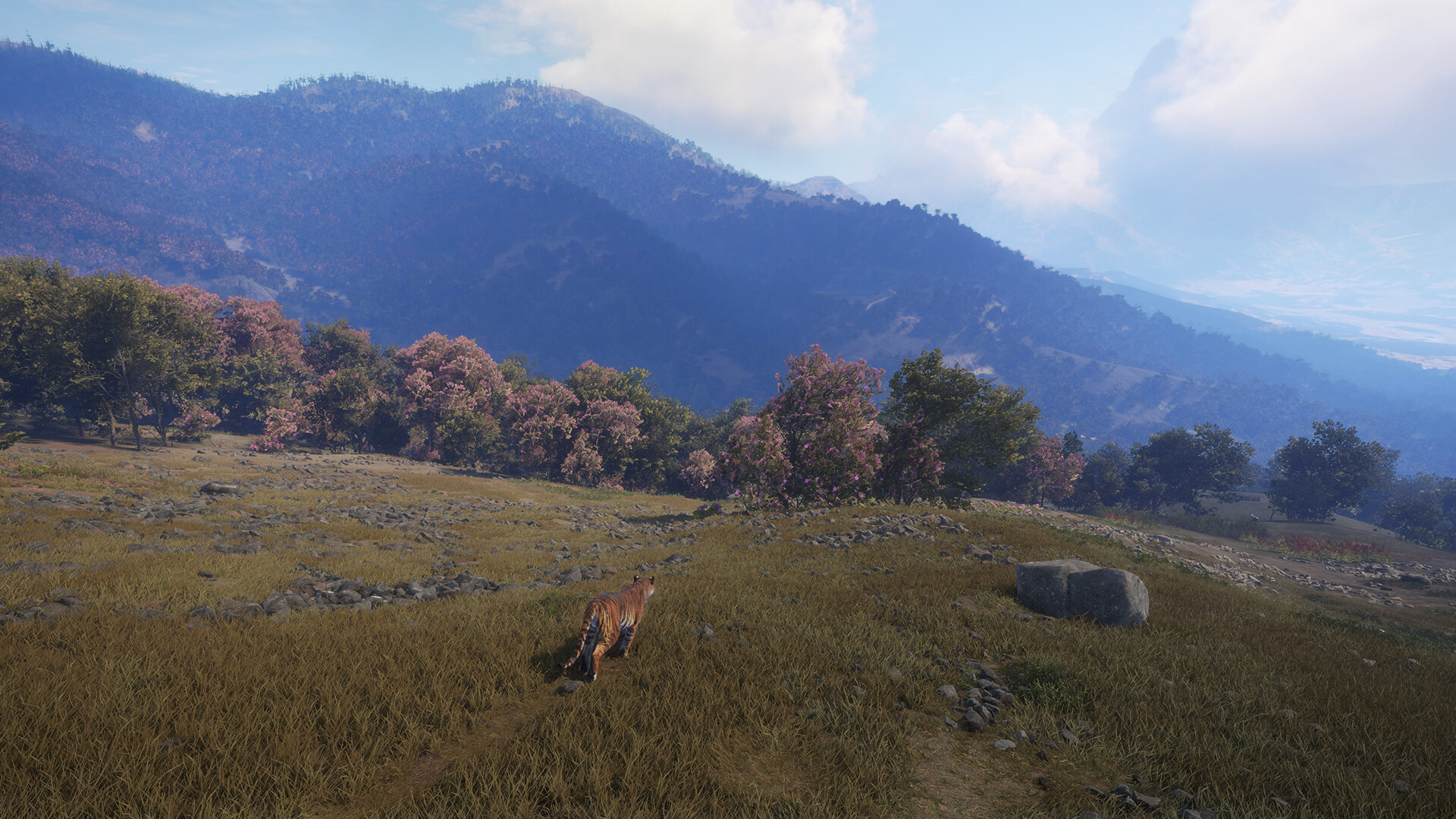 TheHunter: Call of the Wild – Sundarpatan Nepal Hunting Reserve