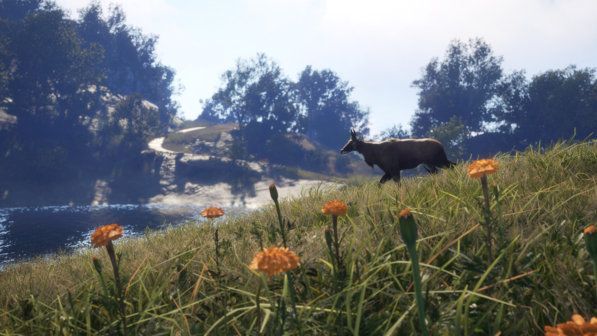 TheHunter: Call of the Wild – Sundarpatan Nepal Hunting Reserve