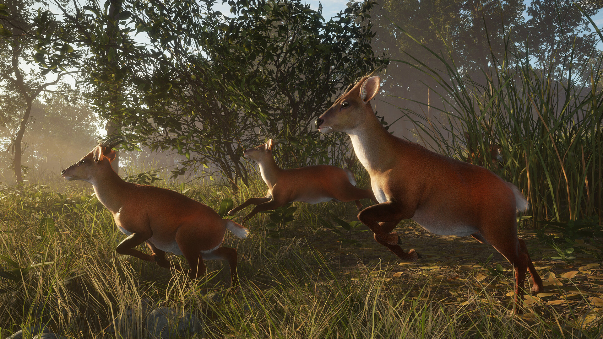 TheHunter: Call of the Wild – Sundarpatan Nepal Hunting Reserve