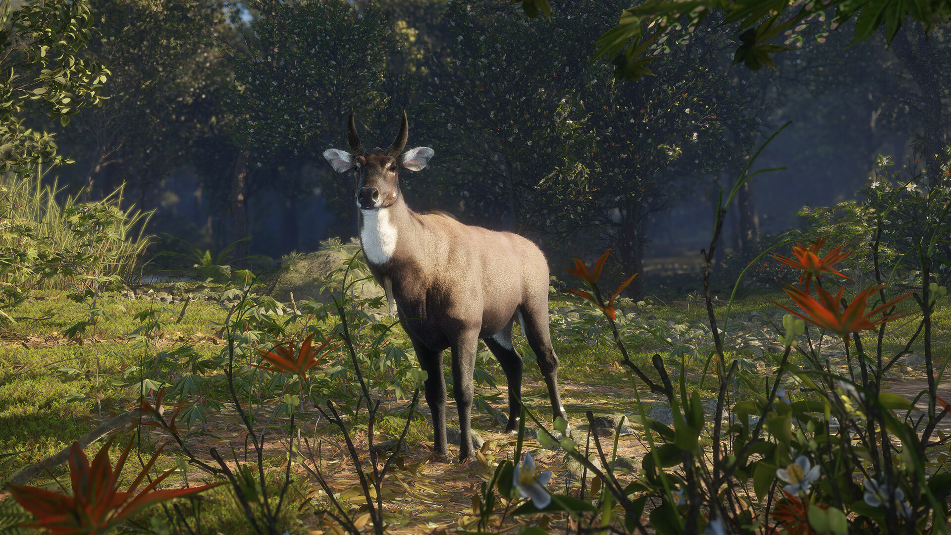 TheHunter: Call of the Wild – Sundarpatan Nepal Hunting Reserve