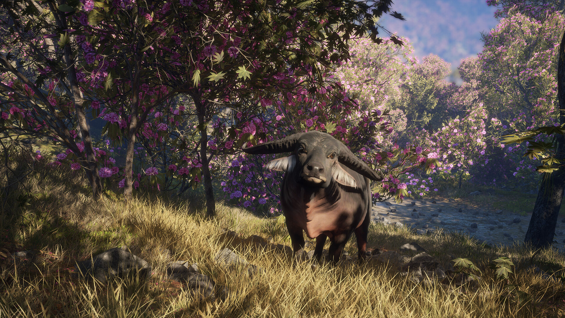 TheHunter: Call of the Wild – Sundarpatan Nepal Hunting Reserve