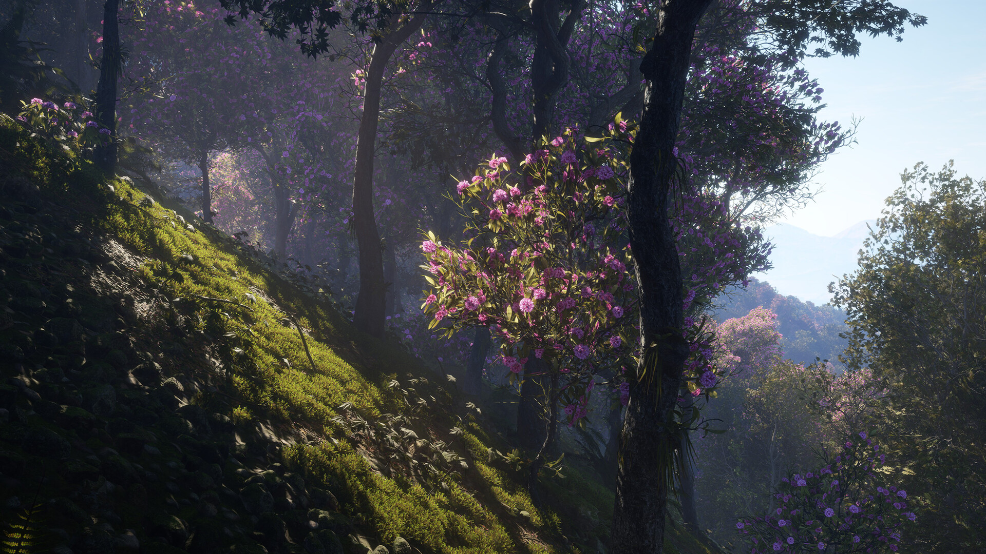 TheHunter: Call of the Wild – Sundarpatan Nepal Hunting Reserve