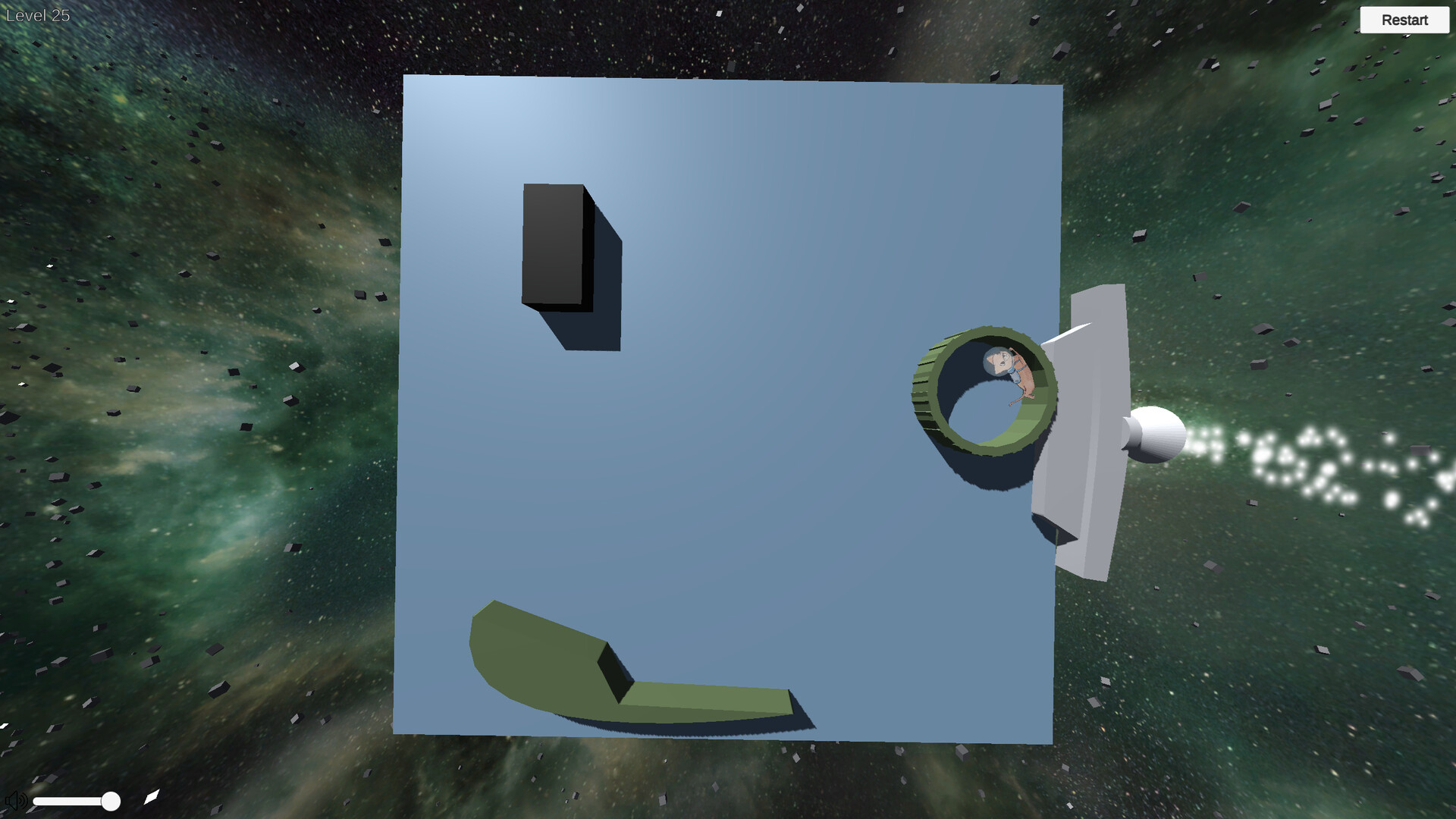 Artificial Gravity Cat