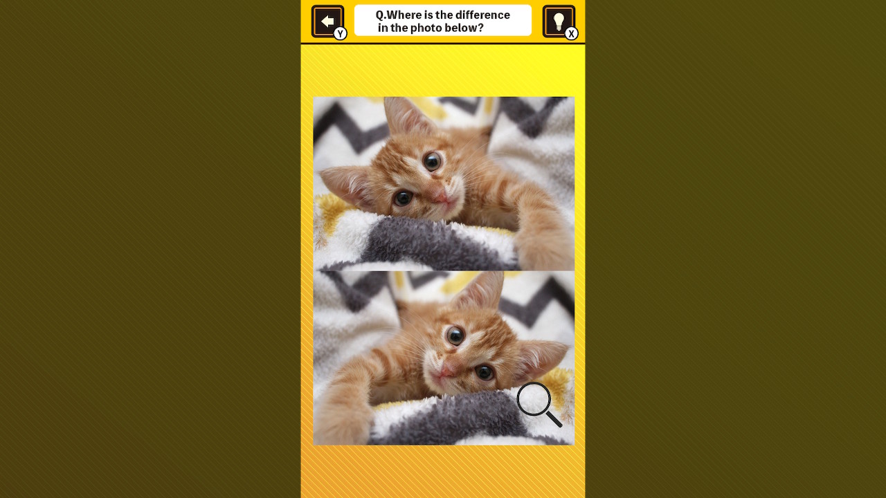 Train Your Brain! Spot the Difference with Cat Photos