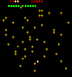 Centipede
