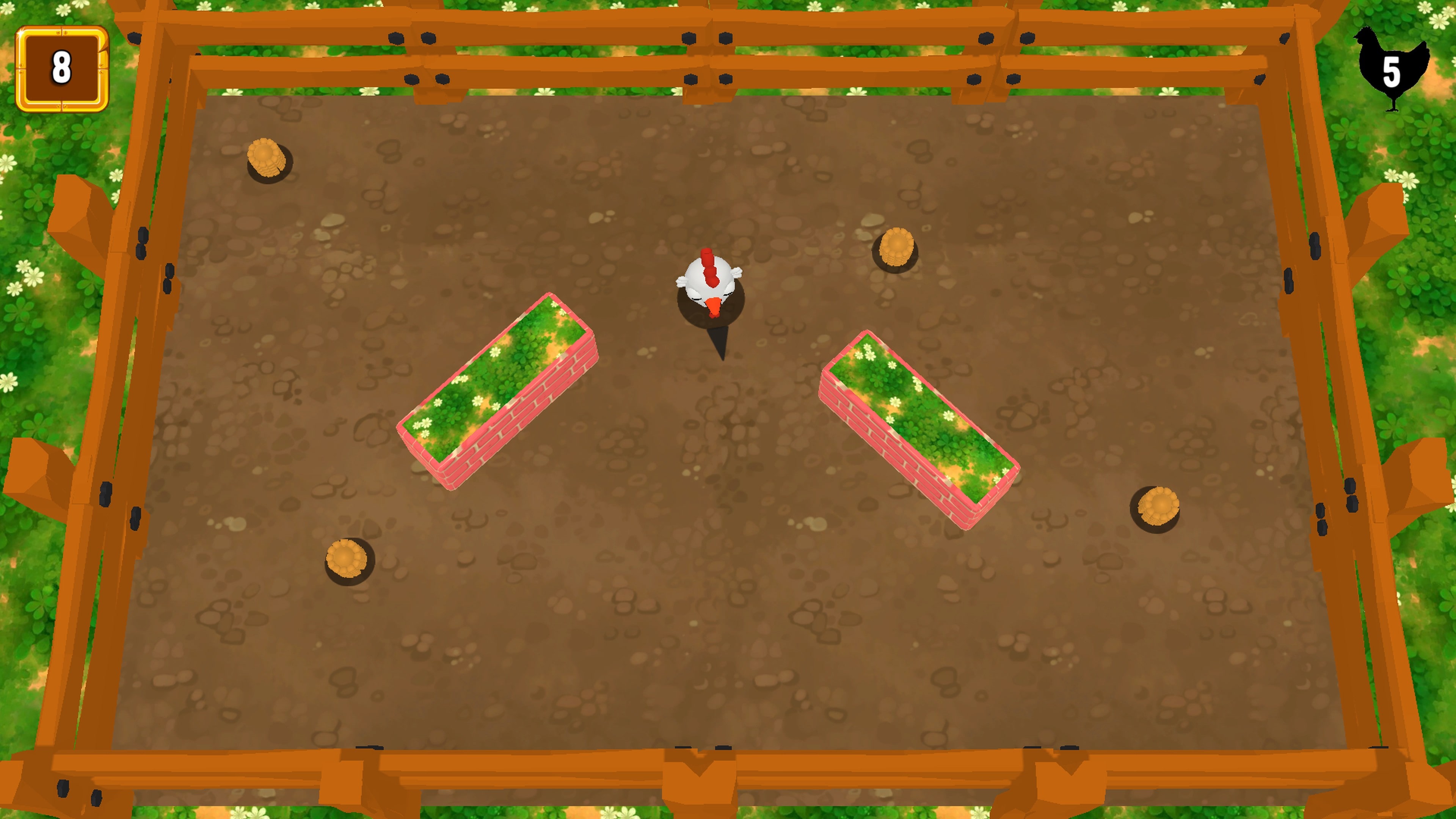 Bouncy Chicken