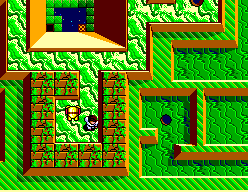 Maze Hunter 3-D
