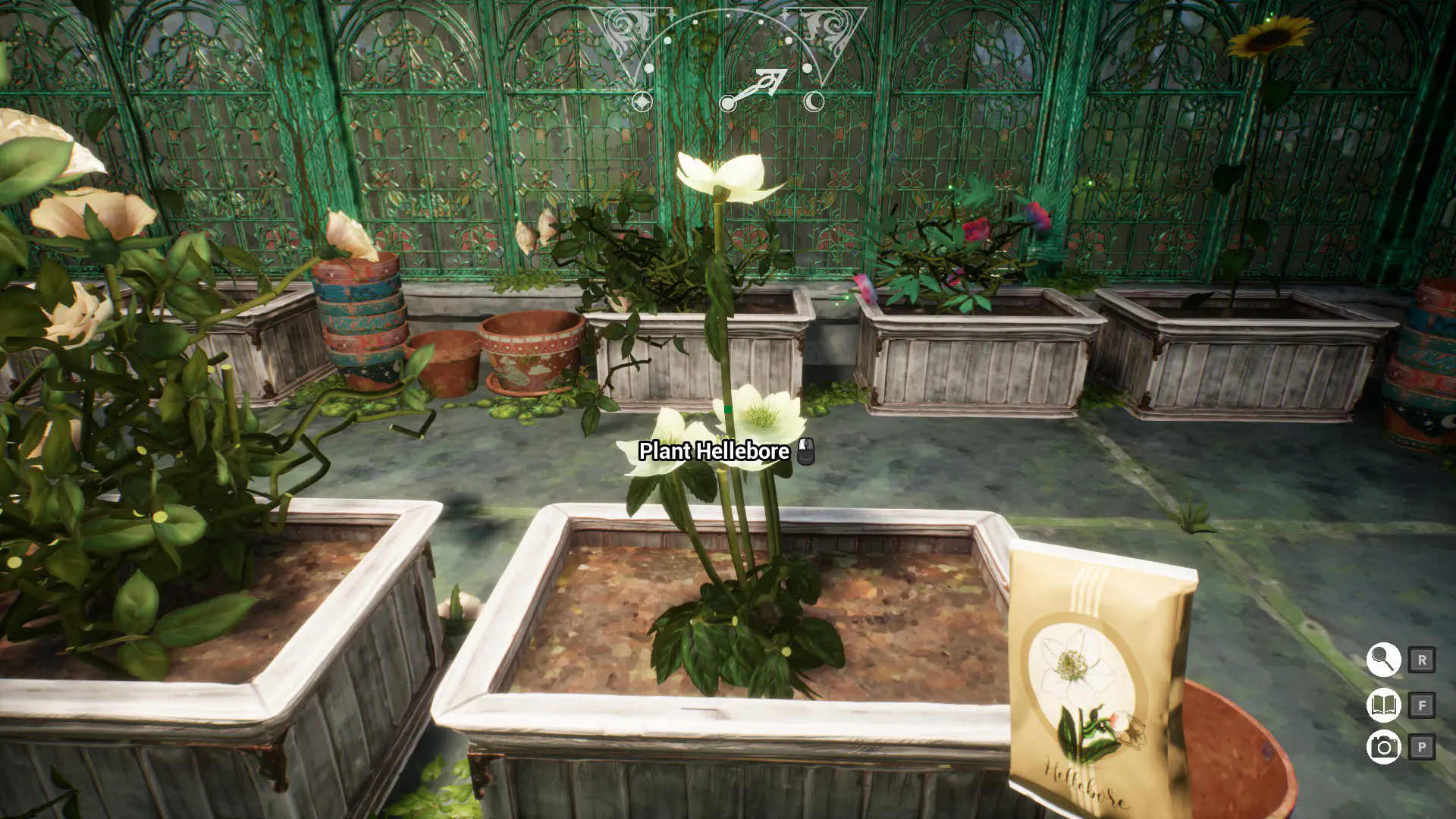 Garden Life: A Cozy Simulator