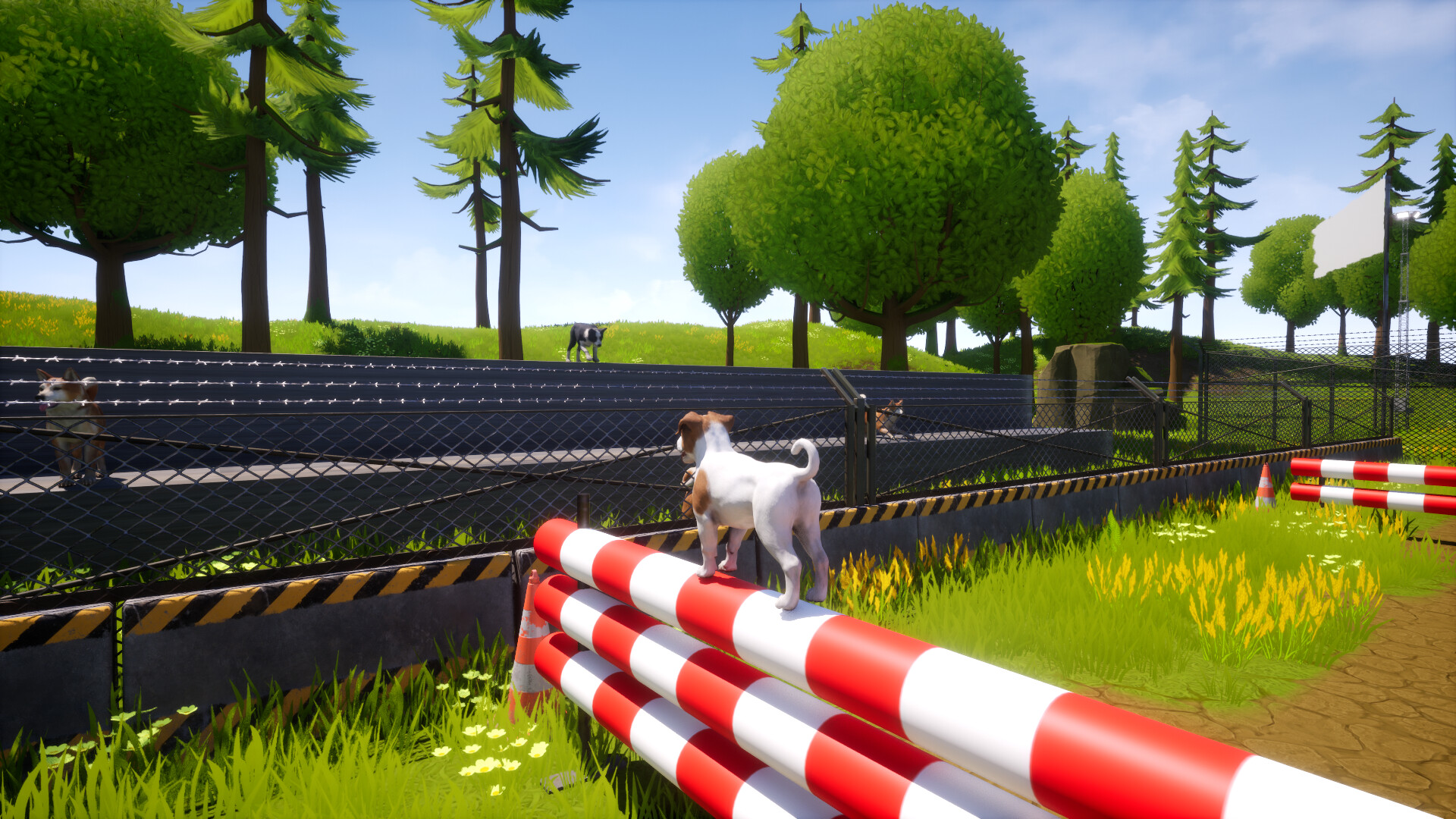Dogs Club