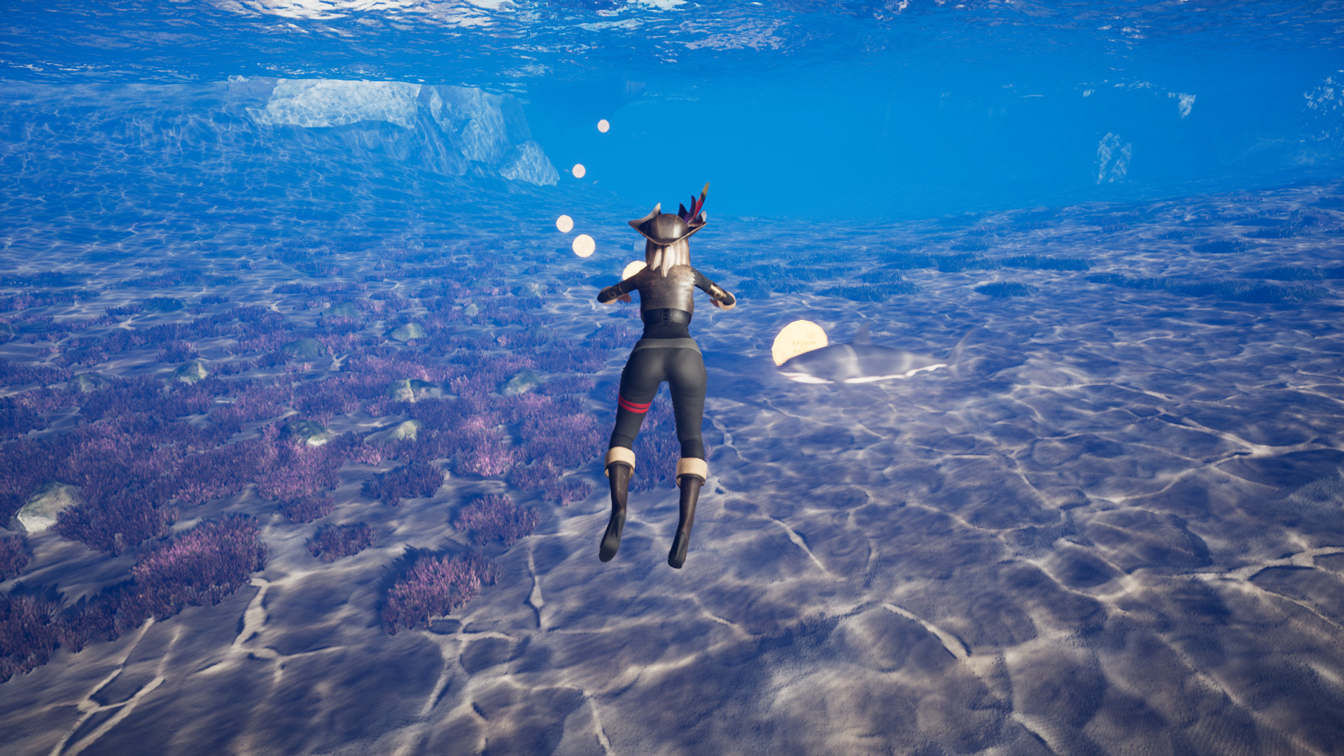 Epic Pirate