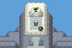 Pokémon Weird Type Fun