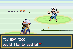 Pokémon Weird Type Fun