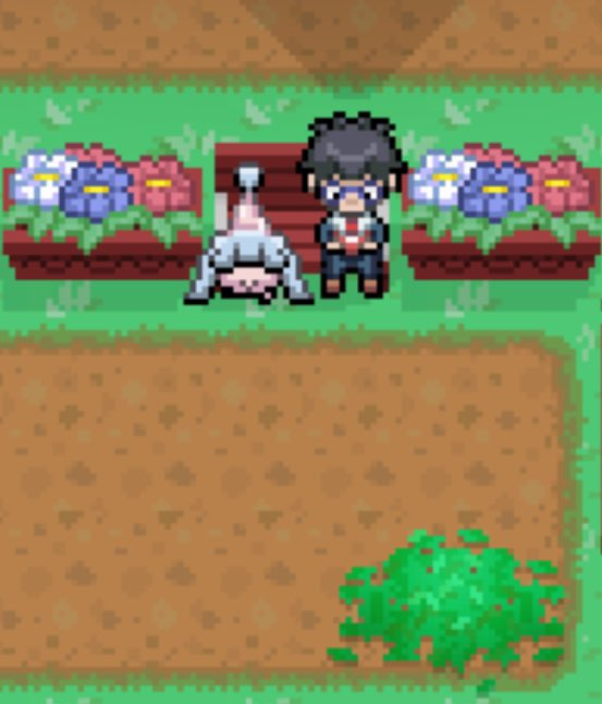 Pokémon Hidden Place