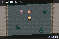 Pokémon: The Pit