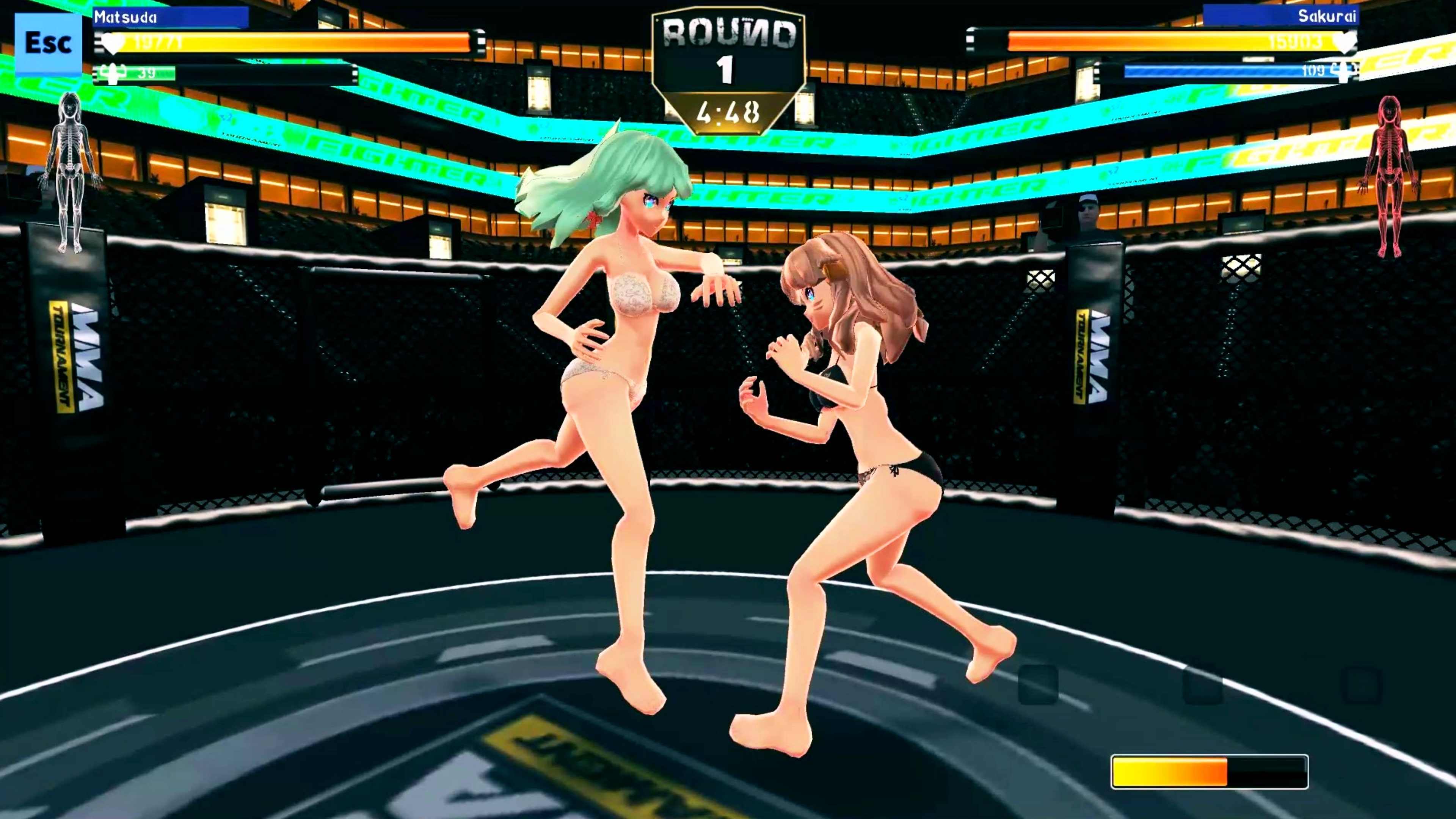 Anime Girls: MMA Tournament