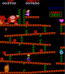 Donkey Kong Twisted Jungle