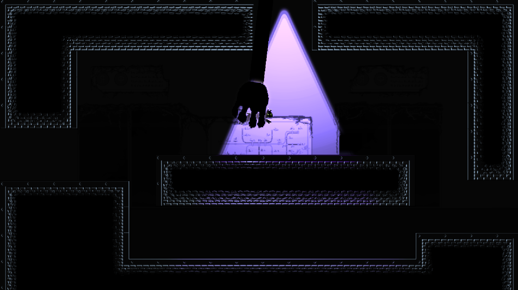 Whiskers in the Dark