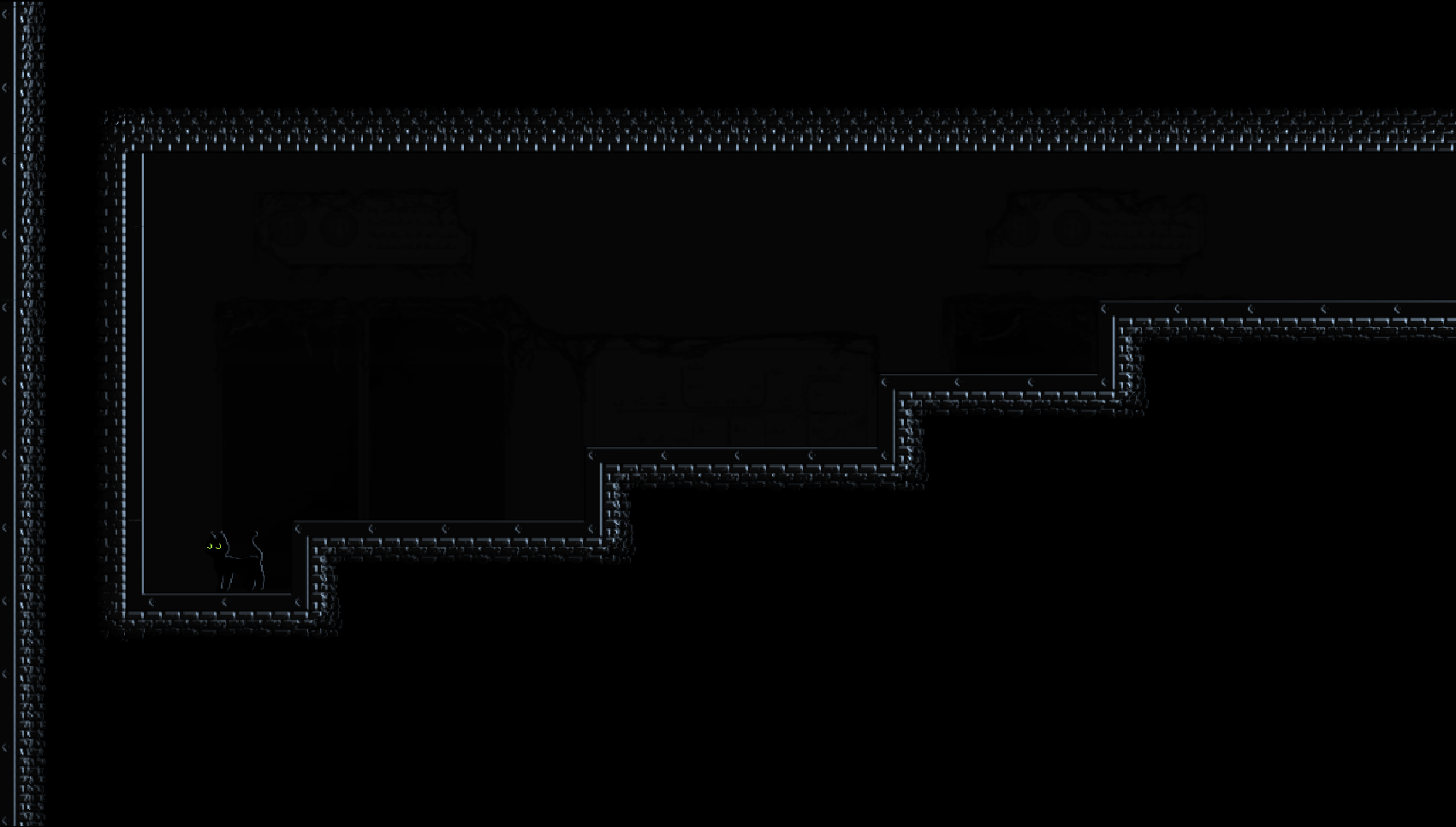 Whiskers in the Dark