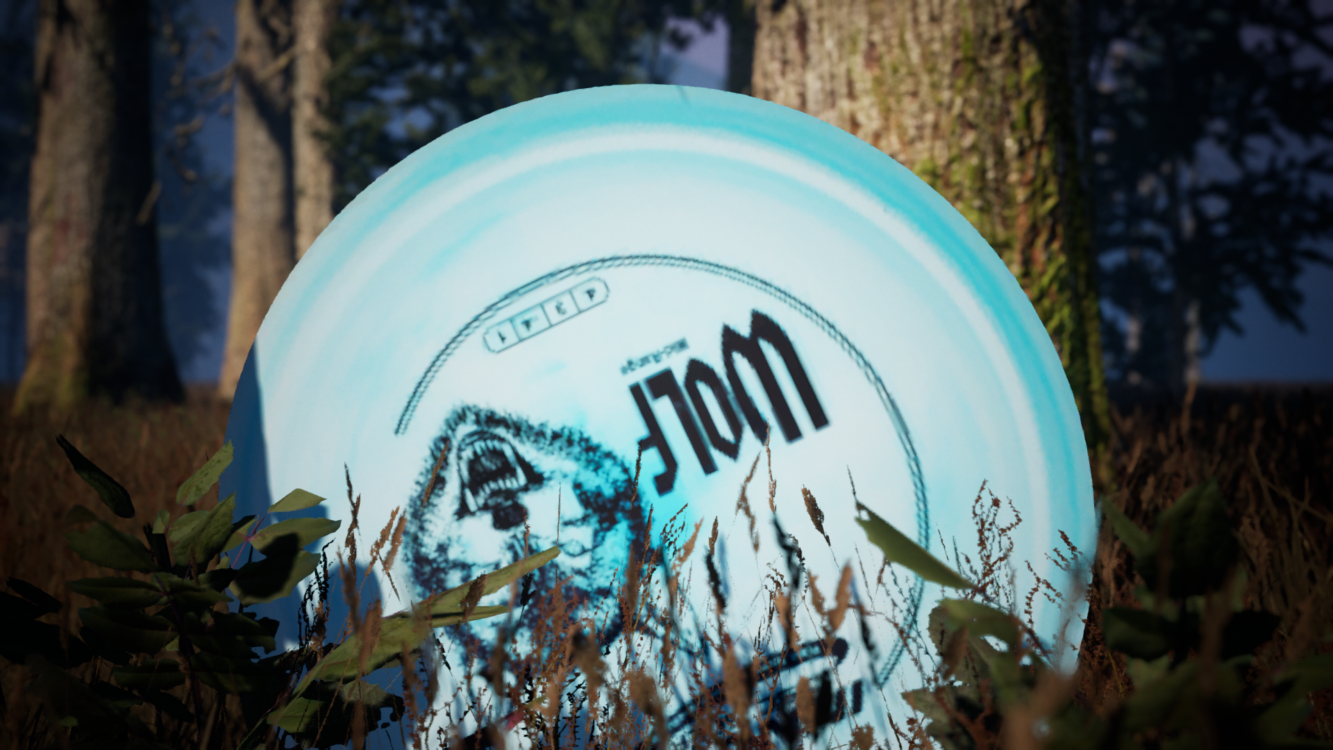 Flex Disc Golf