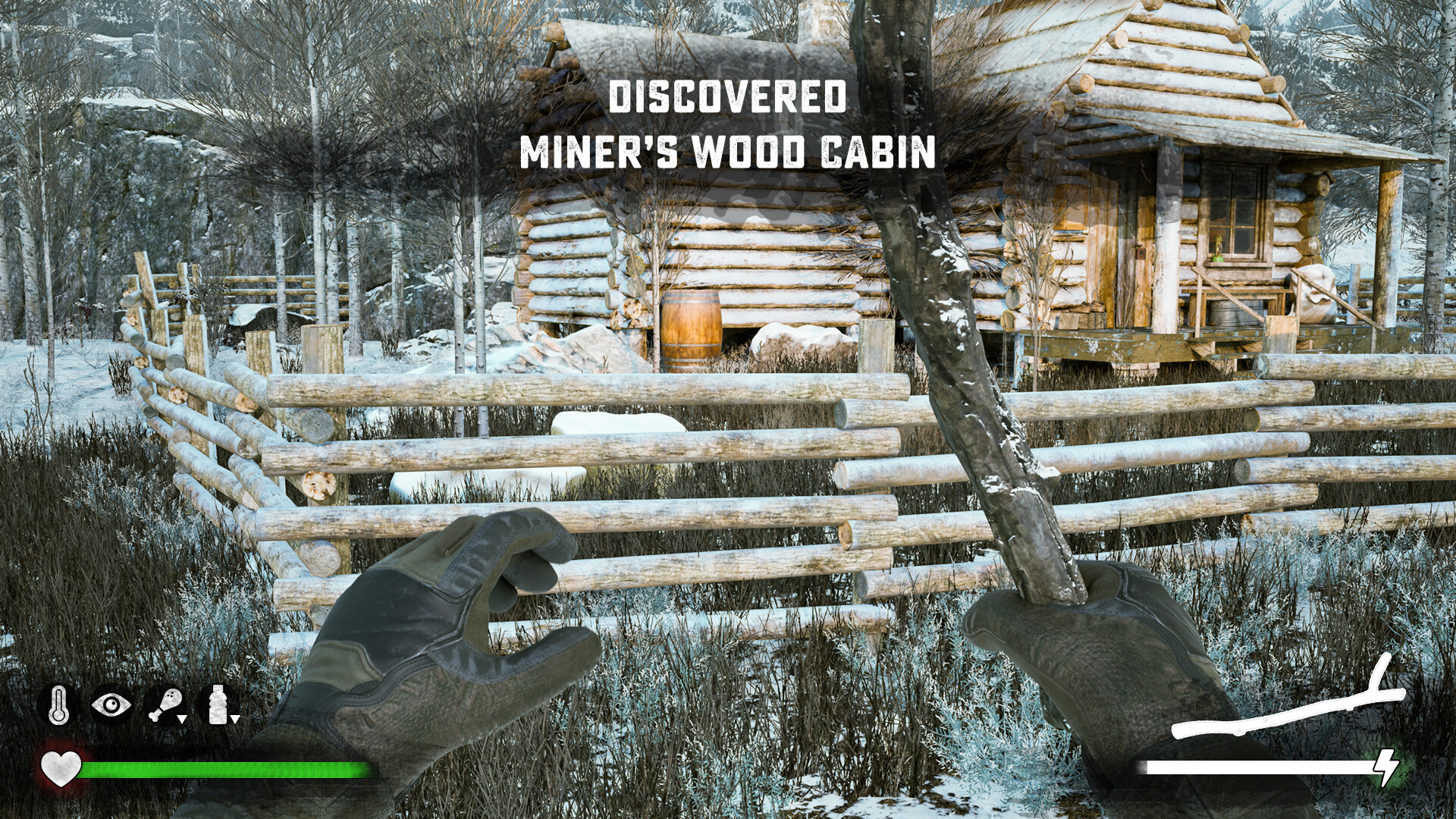 Winter Survival Simulator