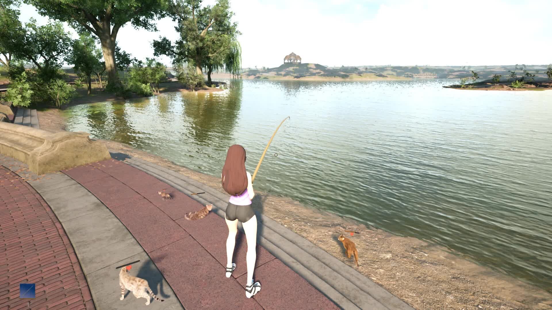 Fishing For Cats