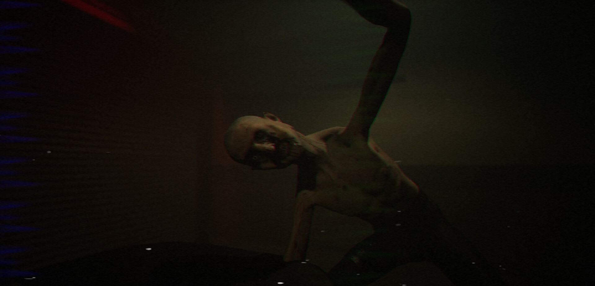 Project 13 Perception Test