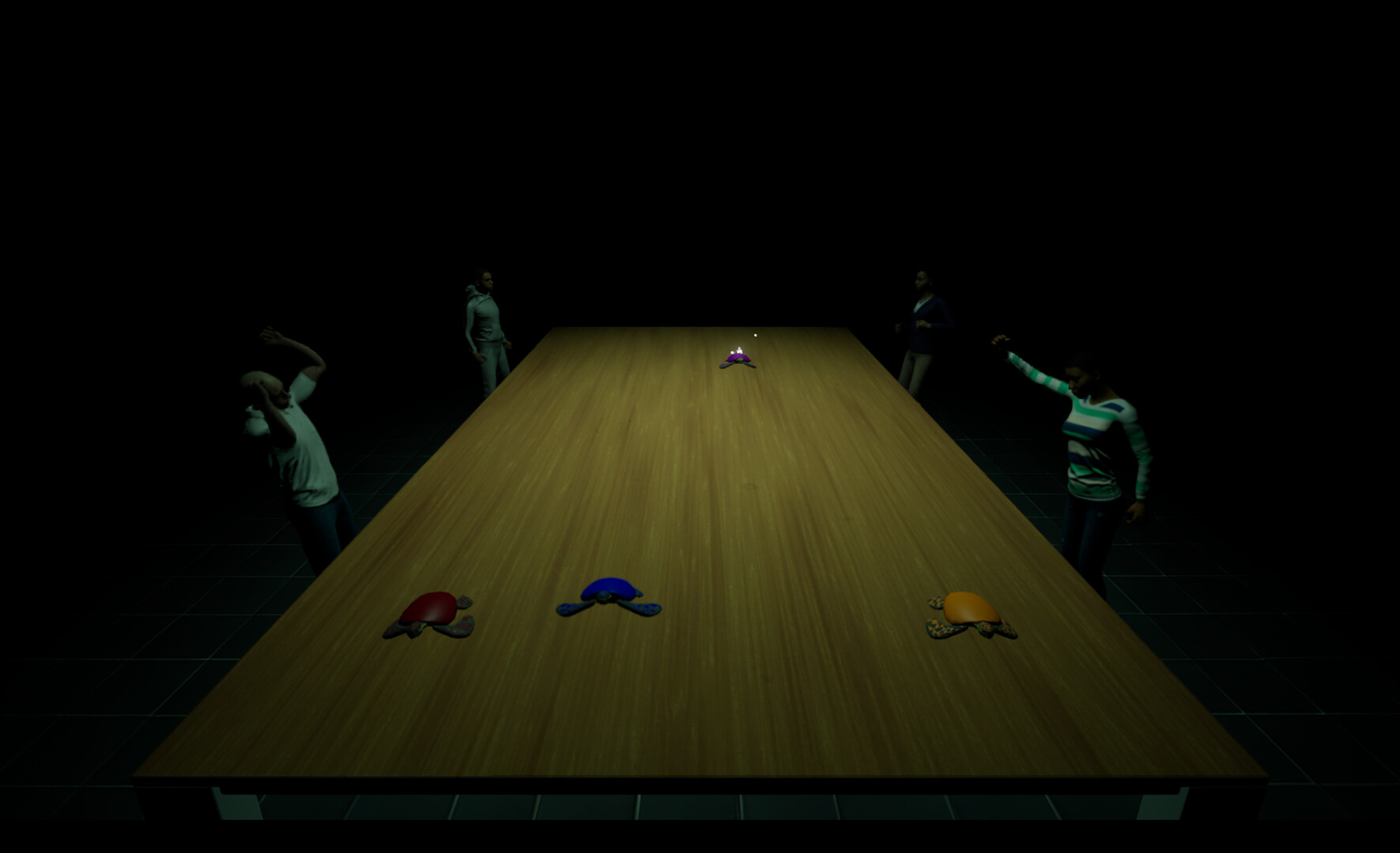 Underground Turtle Races